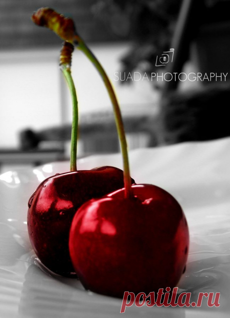 fotos color splash rojo - Búsqueda de Google