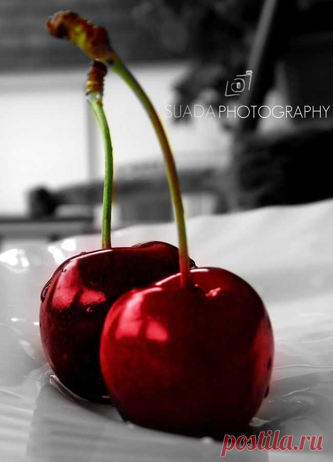 fotos color splash rojo - Búsqueda de Google