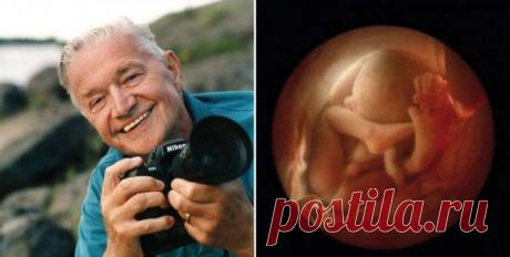 От зачатия до рождения / Научный хит