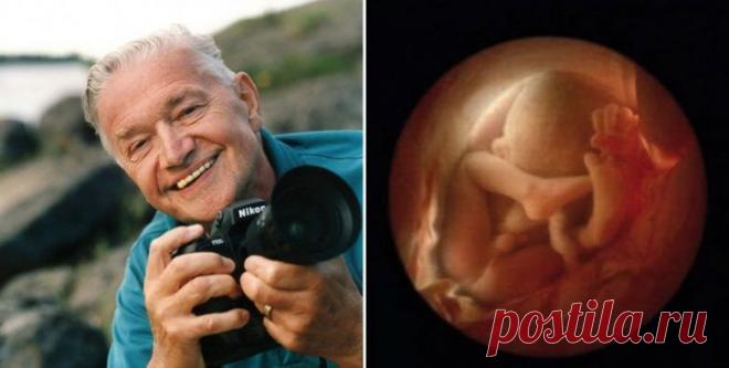 От зачатия до рождения / Научный хит