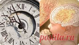 В каком часу вы родились? Ваша судьба зависит от этого в наибольшей степени! - interesno.win Это важнее, чем ваш знак Зодиака. Всего день делится на 6 периодов,...