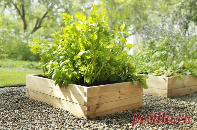 Грядки на даче своими руками (30 фото) | Моя дача Из какого материала можно сделать грядки на даче своими руками (идеи, фото). Грядки из шивера, металла, обрезной доски, пластика и пр...