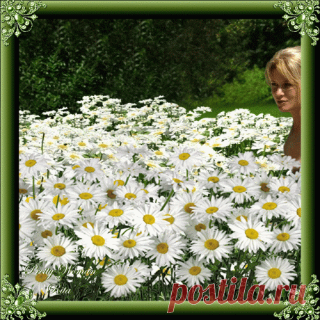 3D gallery - 18 фото. Фотографии Tanja Knijazeva.