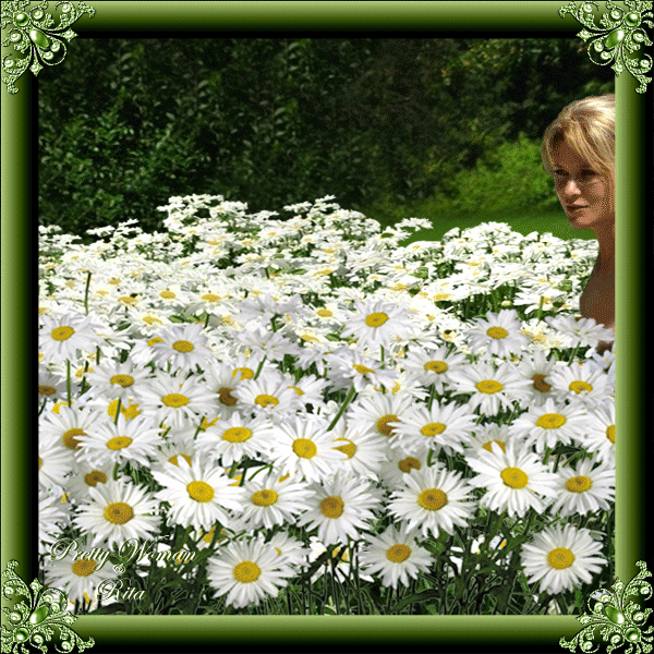 3D gallery - 18 фото. Фотографии Tanja Knijazeva.