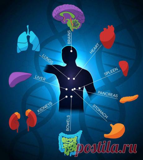 Разгрузочно-диетическая терапия… или краткосрочное голодание от ОРЗ и простуды | Диеты со всего света