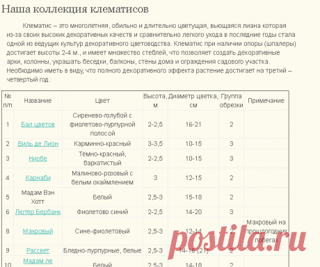 Клематисы - Наша коллекция клематисов