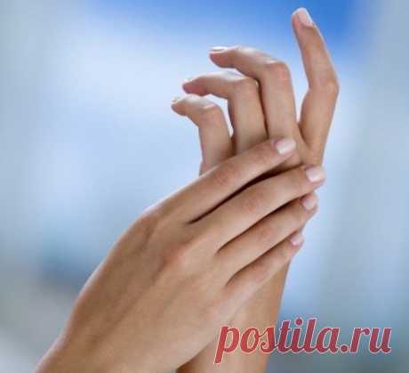 Народные средства для лечения онемения пальцев 
Каждый из нас знаком с таким явлением, как онемение конечностей, пальцев. Это часто происходит вследствие нарушения кровообращения, сдавливания нерва, нередко такое происходит во сне, тогда мы говори…
