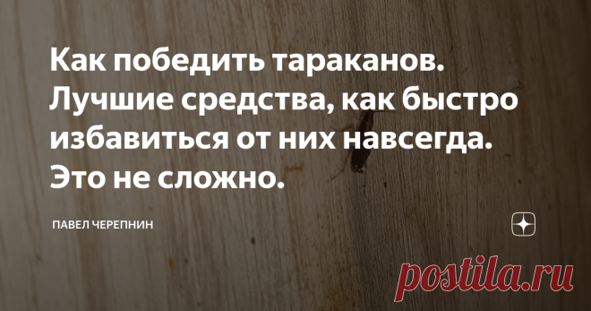 Как победить тараканов. Лучшие средства, как быстро избавиться от них навсегда. Это не сложно. Статья автора «Павел Черепнин» в Дзене ✍: В прошлом я часто переезжал с одной съемной квартиры на другую, когда работал далеко от дома. Бывал в гостях у разных людей.