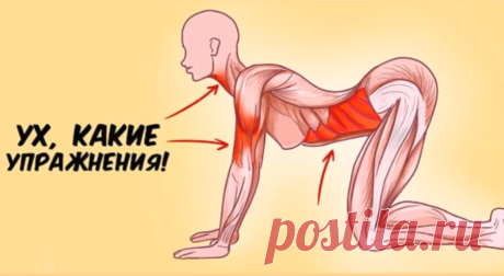 4 жемчуга японской гимнастики Кацудзо Ниси для питания сосудов головы и спины.
Потрясающие упражнения от японского тренера Кацудзо Ниси, основоположника системы оздоровления способны преобразить женское тело и снаружи, и внутри. Гимнастика поможет улучшить кровообращение в сосудах, избавить от боли в спине и суставах. Для отличного результата соблюдайте правило – не тренируйтесь вечером, на...
Читай пост далее на сайте. Жми ⏫ссылку выше