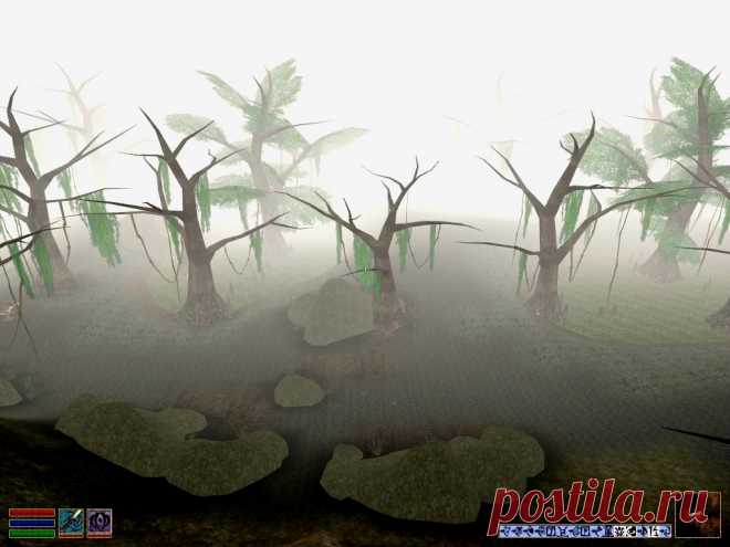Туман над болотами Горького берега.
Fog over the marshes of the Bitter Coast.