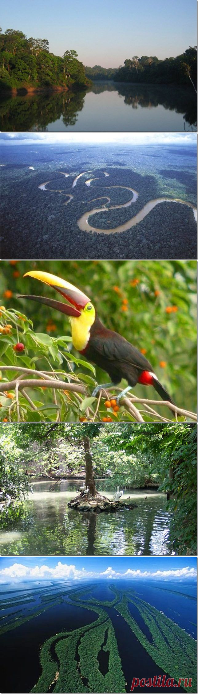 Грандиозная река Амазонка / Туристический спутник