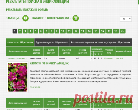 энциклопедия