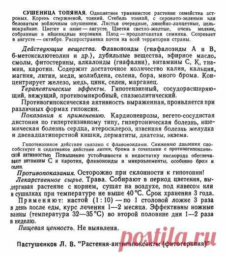 Сушеница топяная