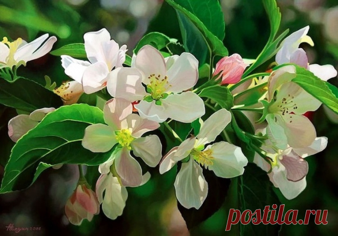 Художник Андрей Никулин | Картины