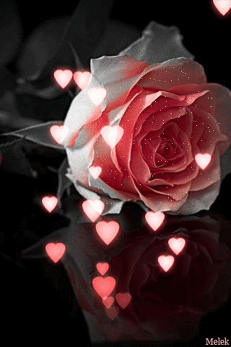 GiF WORLD – Google+
