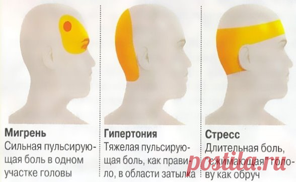 ЧЕМ ОПАСНА ГУСТАЯ КРОВЬ И ЧТО НАДО ДЕЛАТЬ?
Некоторые знают, что густую кровь надо разжижать. Замедленный кровоток приводит к кислородному голоданию внутренних органов. И к возможному образованию тромбов.
Итак, что нужно делать, чтобы кровь свободно циркулировала. Несколько простых советов.
Профилактика образования тромбов
1. Пейте больше воды! 90% людей пьют очень мало воды. Речь именно о кипяченой природной воде, а не о жидкостях. Взрослый человек должен выпивать ежедневн...