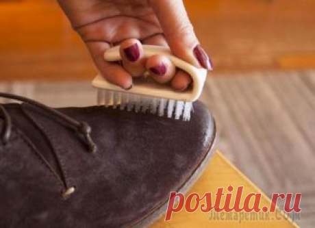 Как почистить замшевые сапоги в домашних условиях от соли Каждая женщина стремится выбирать такую обувь, которая подчеркивает ее уникальность и оригинальность. Некоторые леди отдают предпочтение замшевым сапогам. Мало кто станет спорить в отношении того, что...