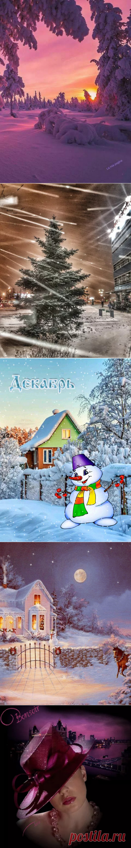 Svetlana Bolotova - Google+