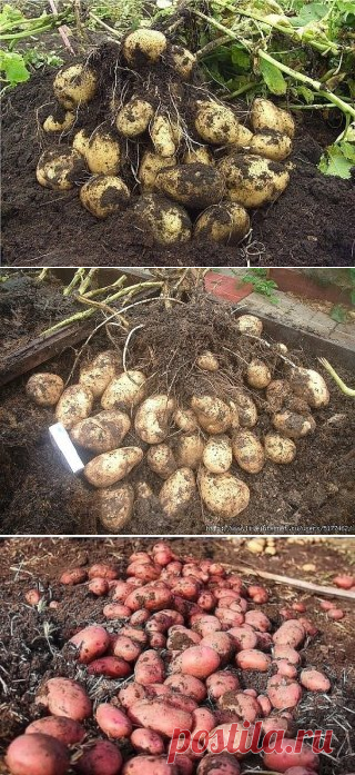 (99) Одноклассники