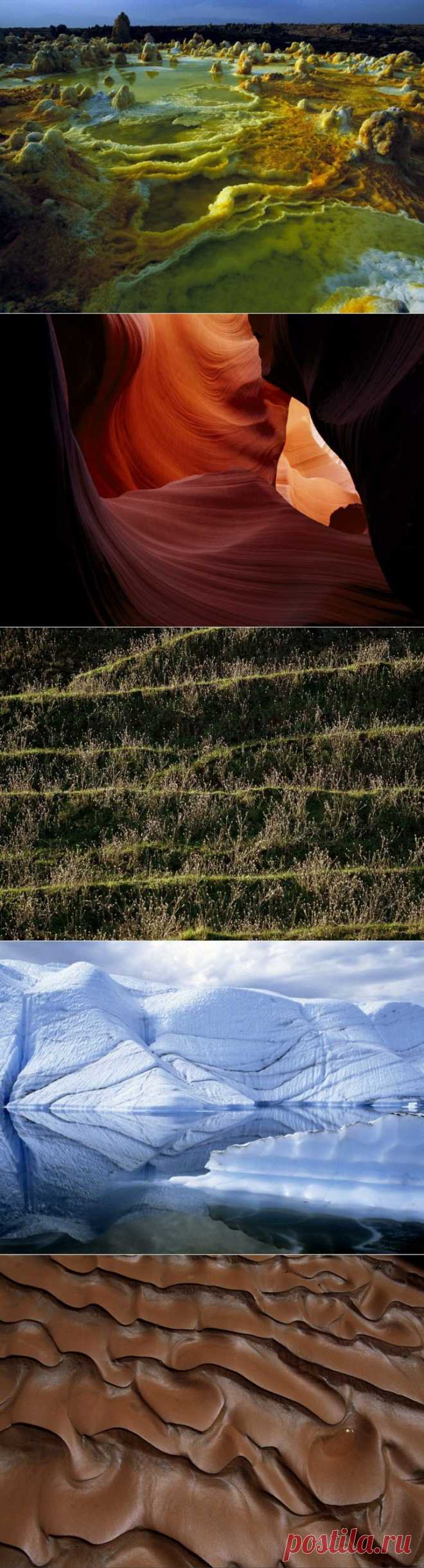 (+1) тема - Подборка снимков, сделанных фотографами National Geographic, | НАУКА И ЖИЗНЬ