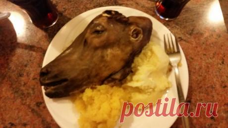 Свид - коронное блюдо исландской национальной кухни » Фото и видео приколы на развлекательном портале Вотключке. Развлекательный видеопортал