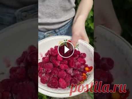 ВКУСНЫЙ МОРС  ВКУСНЫЙ МОРС...