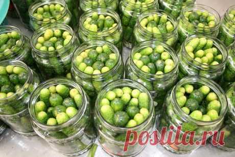 (10) Одноклассники