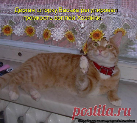 Они подарят вам отличное настроение!