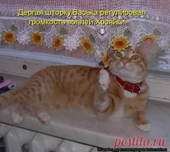 Они подарят вам отличное настроение!