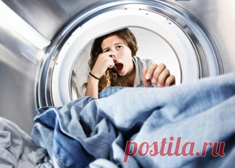 Неприятный запах из стиральной машины, исправляем без лишних затрат | Ремхак | Яндекс Дзен