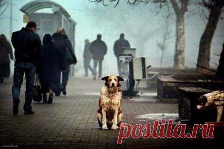 Самое страшное - это чувствовать себя никому не нужным.