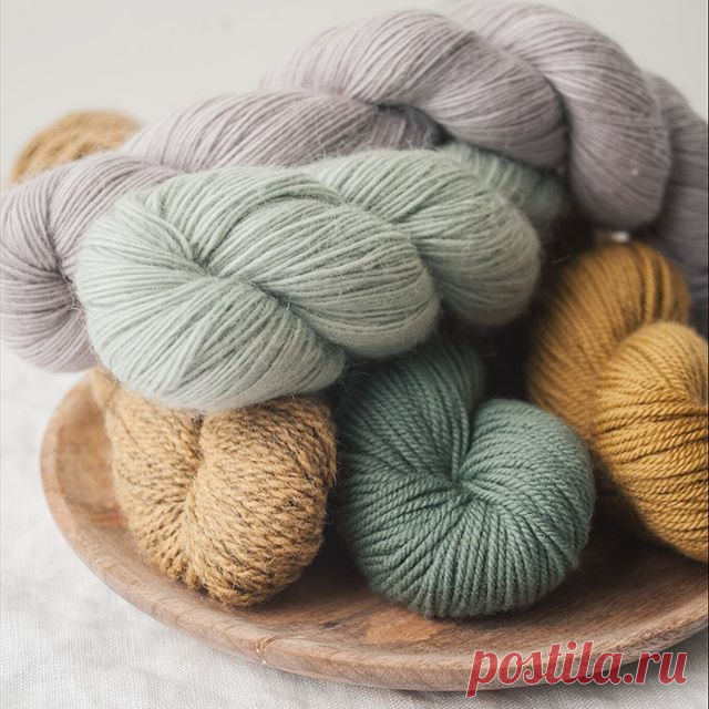 The color and fiber palette of Shawls 2017. Piper laceweight merino/mohair in Abilene and San Angelo, Chickadee sport weight wool in Honey and Sage, and Owl worsted weight wool/alpaca in Steppe. #shawls2017 #quinceandco