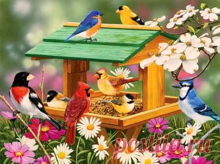 cute beautiful things for dp – Google Поиск