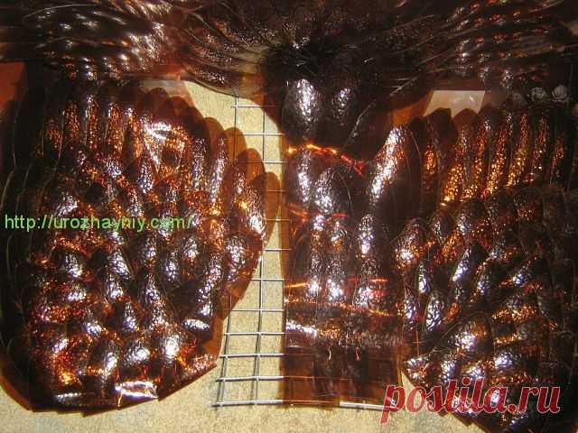 ПТИЦЫ ИЗ ПЛАСТИКОВЫХ БУТЫЛОК (ПАВЛИН, ЛЕБЕДЬ, СОВА, ПИНГВИН, ФЛАМИНГО) МАСТЕР КЛАССЫ - Клуб совместных закупок в Сибири и не только.