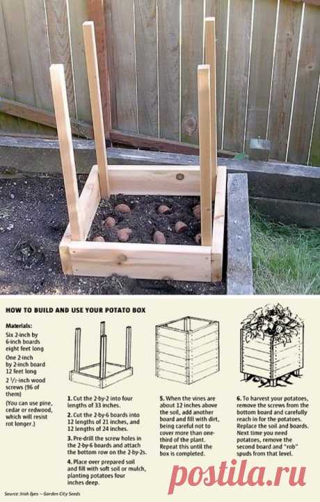 23 Insanely Clever Gardening Ideas on Low Budget – HomeDesignInspired