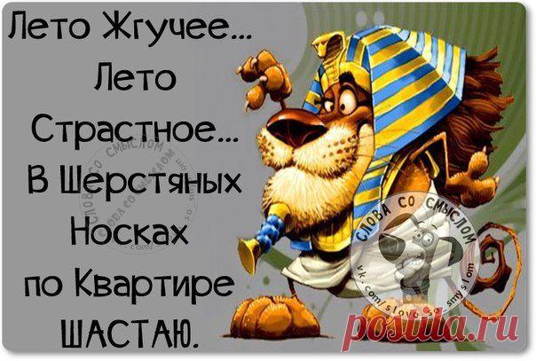 Прикольные фразочки в картинках (22 штуки)