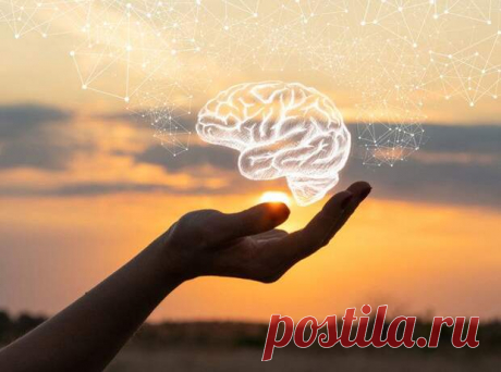 Как повысить работоспособность мозга - Народная медицина
                                             - 23 ноября
                                             - 43992391765 - Медиаплатформа МирТесен Концентрация внимания, память, качество зрения – все эти факторы напрямую зависят от того, насколько качественно головной мозг снабжается кровью. А питание мозга напрямую зависит от осанки. Как и почему, рассказывает Анна Владимирова, врач и основатель Школы оздоравливающих пра...