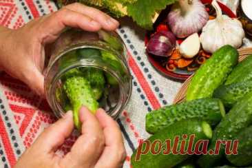 Огурцы по-польски: самые хрустящие и вкусные огурчики на моей кулинарной памяти — Домашняя кулинария