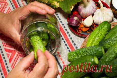 Огурцы по-польски: самые хрустящие и вкусные огурчики на моей кулинарной памяти — Домашняя кулинария