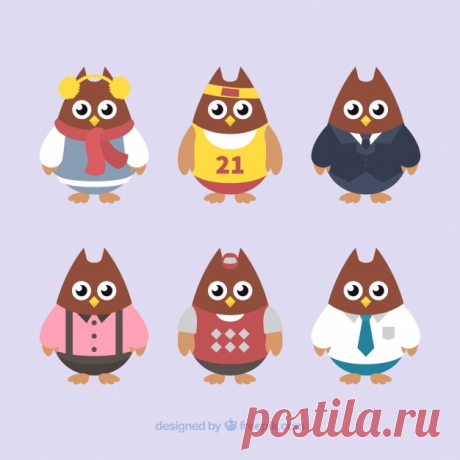 Набор из шести сов с одеждой Более миллиона свободных векторов, PSD, фотографии и бесплатные иконки. Эксклюзивные халявы и все графические ресурсы, которые необходимые для ваших проектов