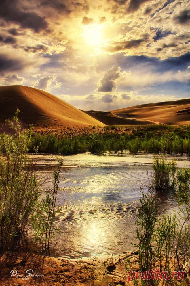 Pangeen — drxgonfly: Mesquite Flat Sand Dunes Sunset (by...