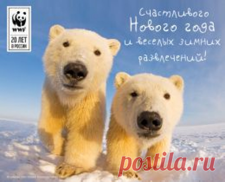 Добрый Новый год