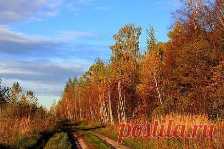 Эта шикарная женщина ОСЕНЬ
Себя подарила беспутному ветру,
И что он ни скажет, и что ни попросит,
Ему отдавала, не чувствуя меры.
Листвы разноцветной большие охапки
Бросала к ногам его брачным букетом,
И буйные краски, и солнца остатки,
И слезы дождей, и туман пред рассветом...