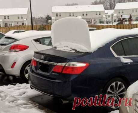 Зима в прикольных картинках (23 фото) . Тут забавно !!!