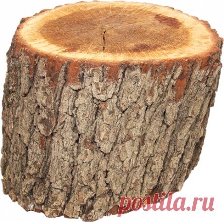 Клипарты Фоны июль 2011 — Яндекс.Диск