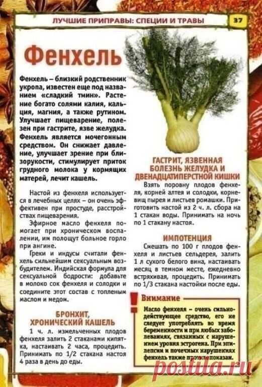 ТАКИХ РЕЦЕПТОВ ВЫ БОЛЬШЕ НЕ НАЙДЕТЕ! 

  Целебные растения и приправы для нашего здоровья.
