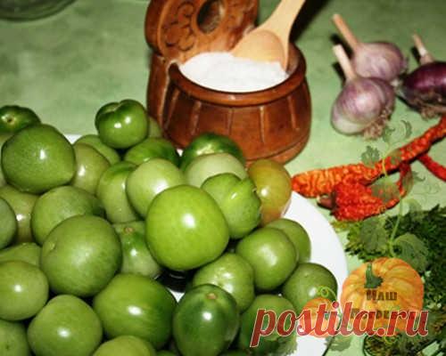 Аджика из зеленых помидор на зиму: объедение с приправами, овощами и фруктами