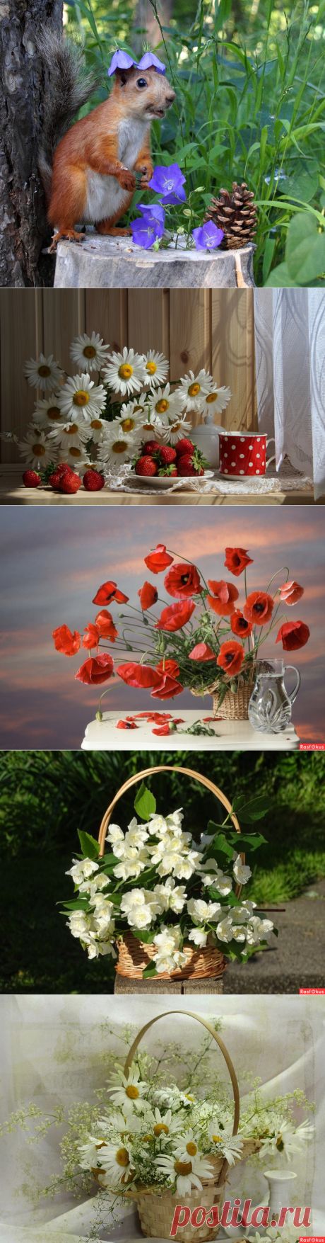 ✿ღ✿Обнови картинку на рабочем столе!✿ღ✿