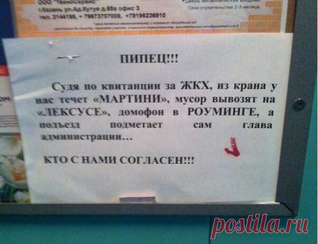 20 незабываемых объявлений – яркие примеры смекалки и юмора!
