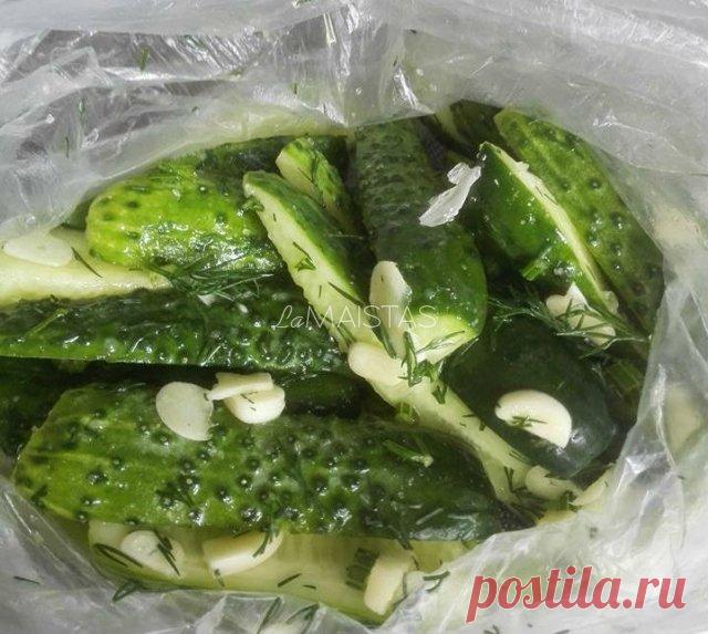 Agurkai raugti maišelyje - vos per pusvalandį! Tikras vasaros skonis! Agurkus perpjauti išilgai į keturias dalis., Česnaką ir krapus susmulkinti., Sudėti viską į maišelį, įdėti šaukštelį druskos ir gerai sukratyti. Dėti į šaldytuvą, valgyti galima po pusvalandžio.